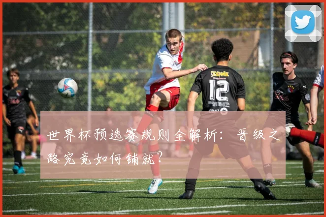 世界杯预选赛规则全解析：晋级之路究竟如何铺就？