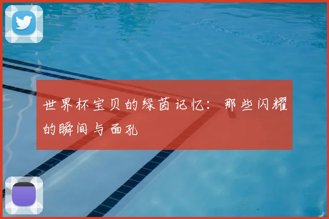 世界杯宝贝的绿茵记忆：那些闪耀的瞬间与面孔