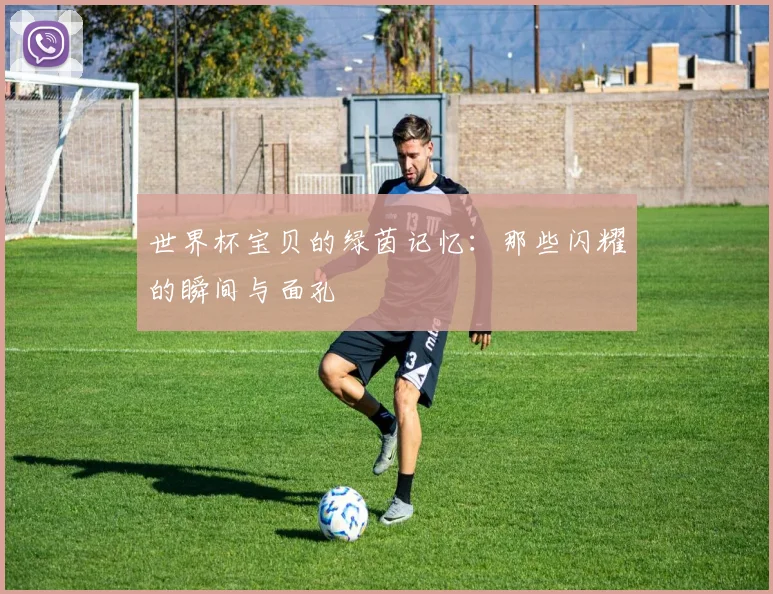 世界杯宝贝的绿茵记忆：那些闪耀的瞬间与面孔