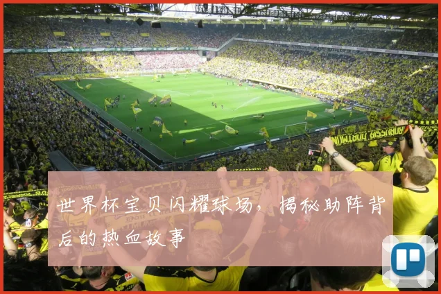 世界杯宝贝闪耀球场，揭秘助阵背后的热血故事