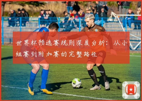 世界杯预选赛规则深度分析：从小组赛到附加赛的完整路径