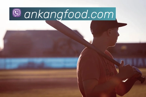 App Interface Preview